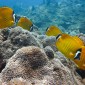 Happy Ocean Day