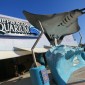 The Travel Blogger Goes to Tampa