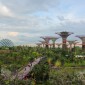 Twenty Four Hours in Singapore