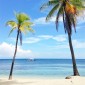 Paradise Found: Malapascua Island