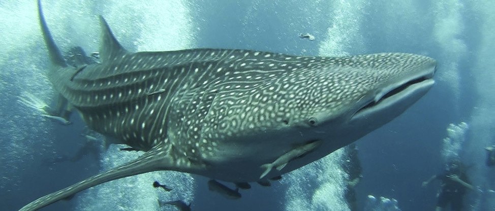 Photo of the Week 10 thumbnail