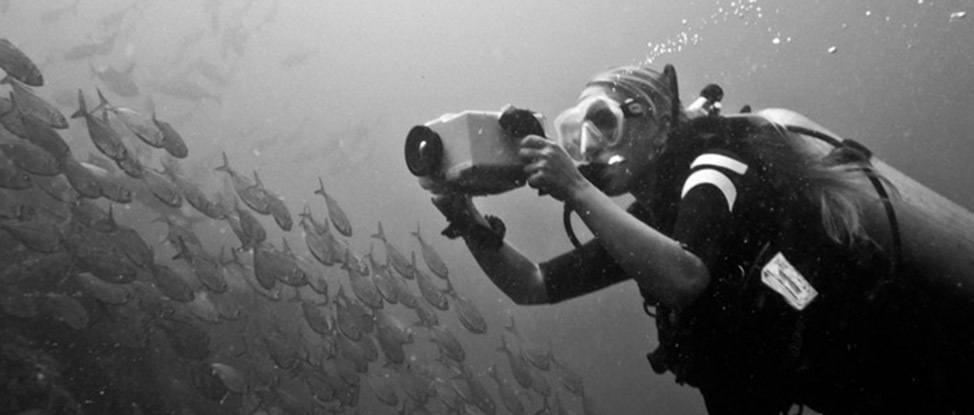 Photo of the Week 12 thumbnail