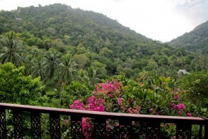 Koh Tao Bungalow
