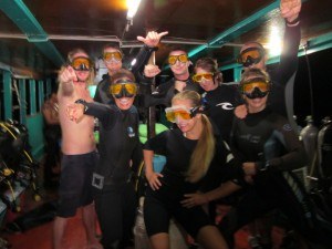 UV Night Diving Koh Tao