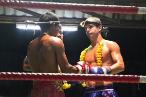 Koh Tao Muay Thai