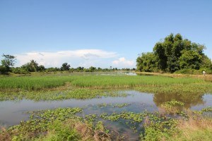 Battambang Countryside
