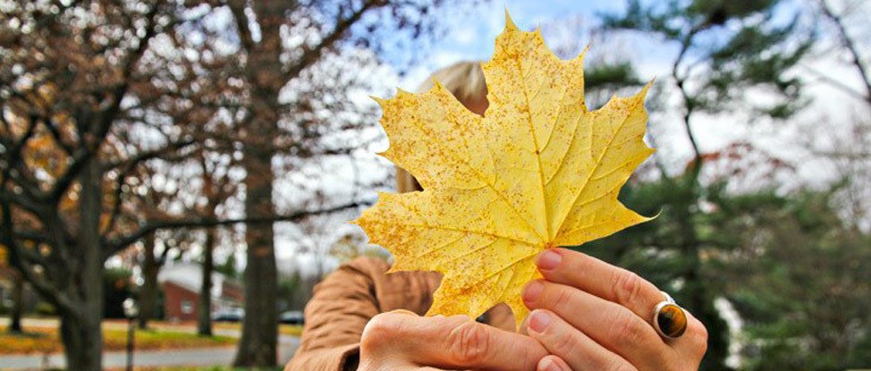 Photo of the Week 73 thumbnail