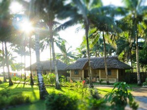 Amor Farm Beach Resort