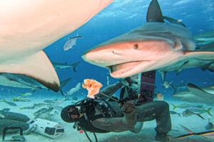 Diver Laying Down in Water with Sharks