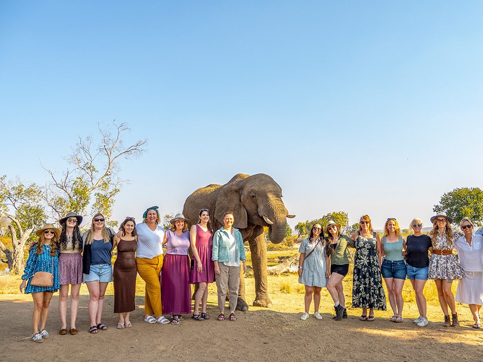 Wander women group with large elephant Botswana Retreat