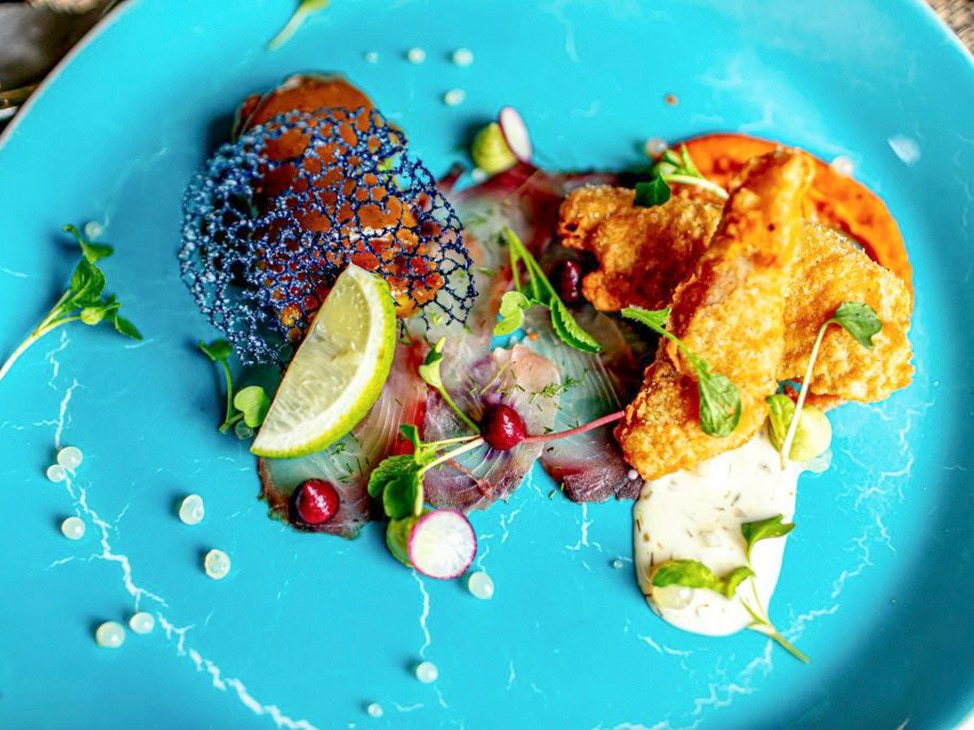 Beautifully plated food on blue plate Botswana 