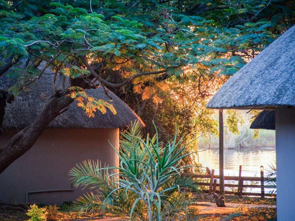 Chobe Safari Lodge in Botswana