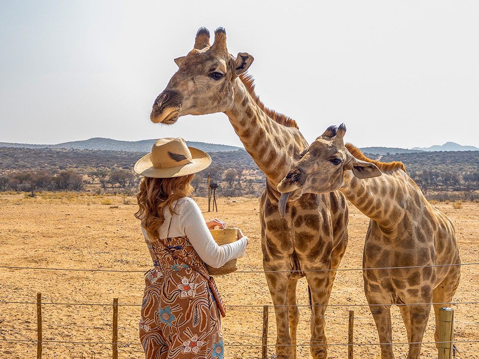 Namibia Extension woman feeding 2 giraffes