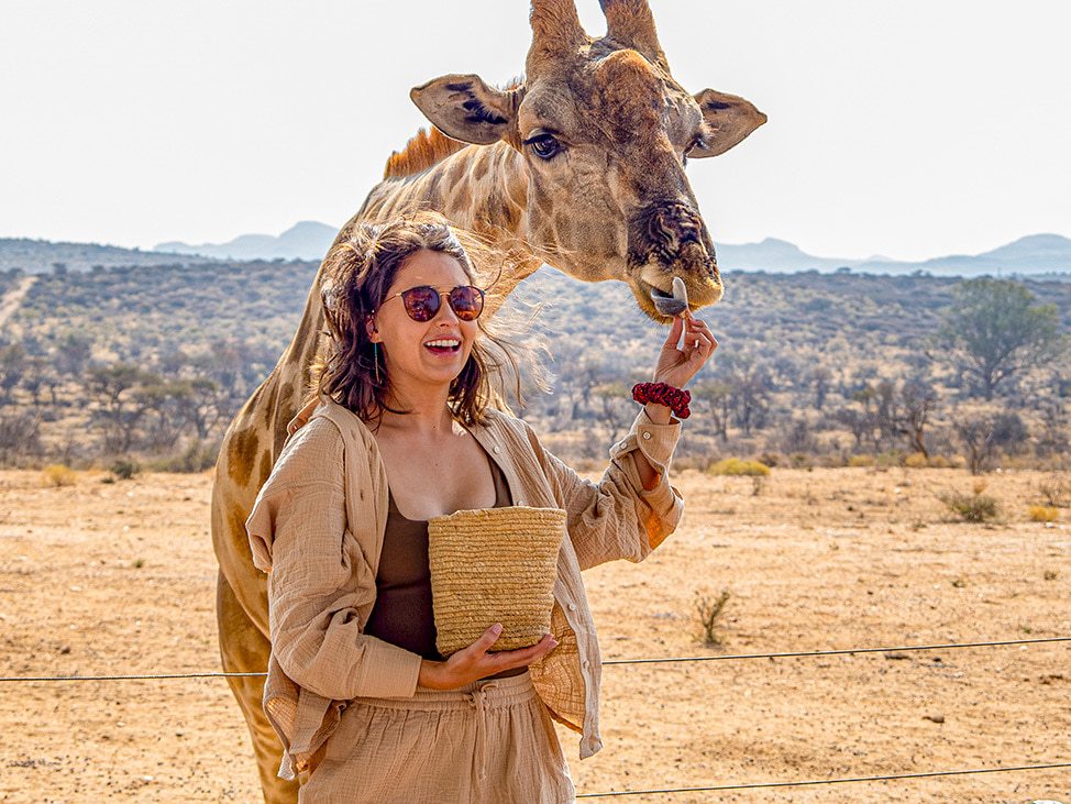 Woman feeding giraffe Namibia Retreat