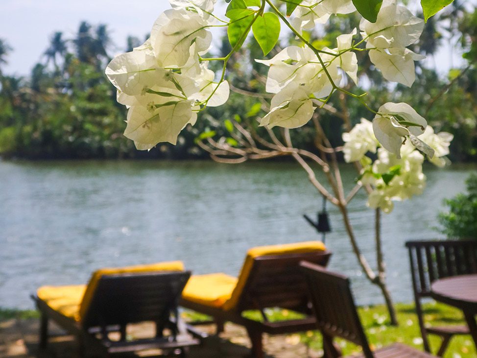 Lounge Chairs by the water Sri Lanka