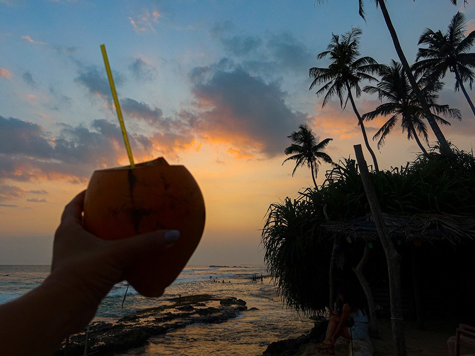 Coconut at sunset on the beach sri lanka