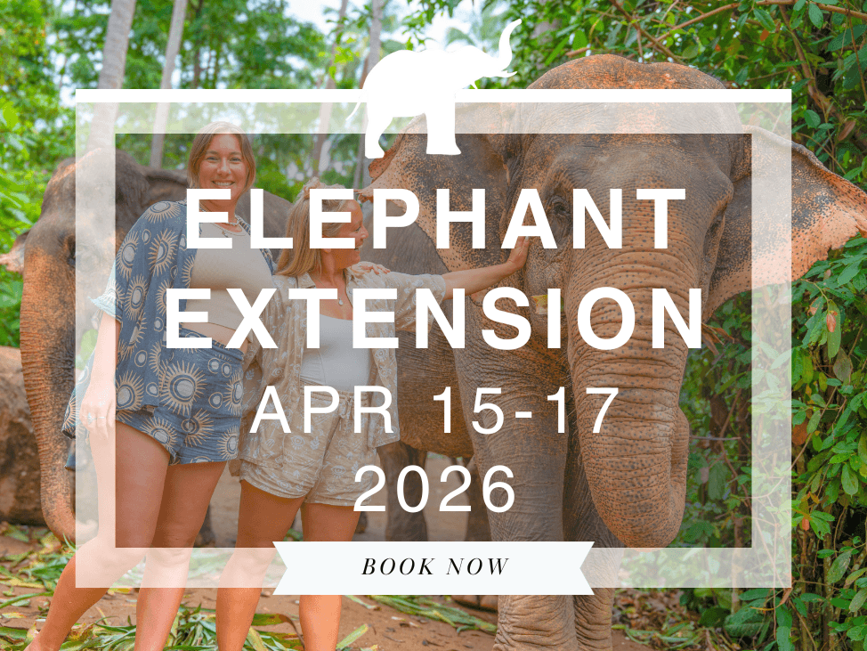Wander Women Elephant Extension 2026