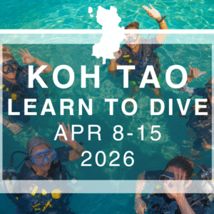 Wander Women Koh Tao: A Beginner + Yoga Retreat 2026