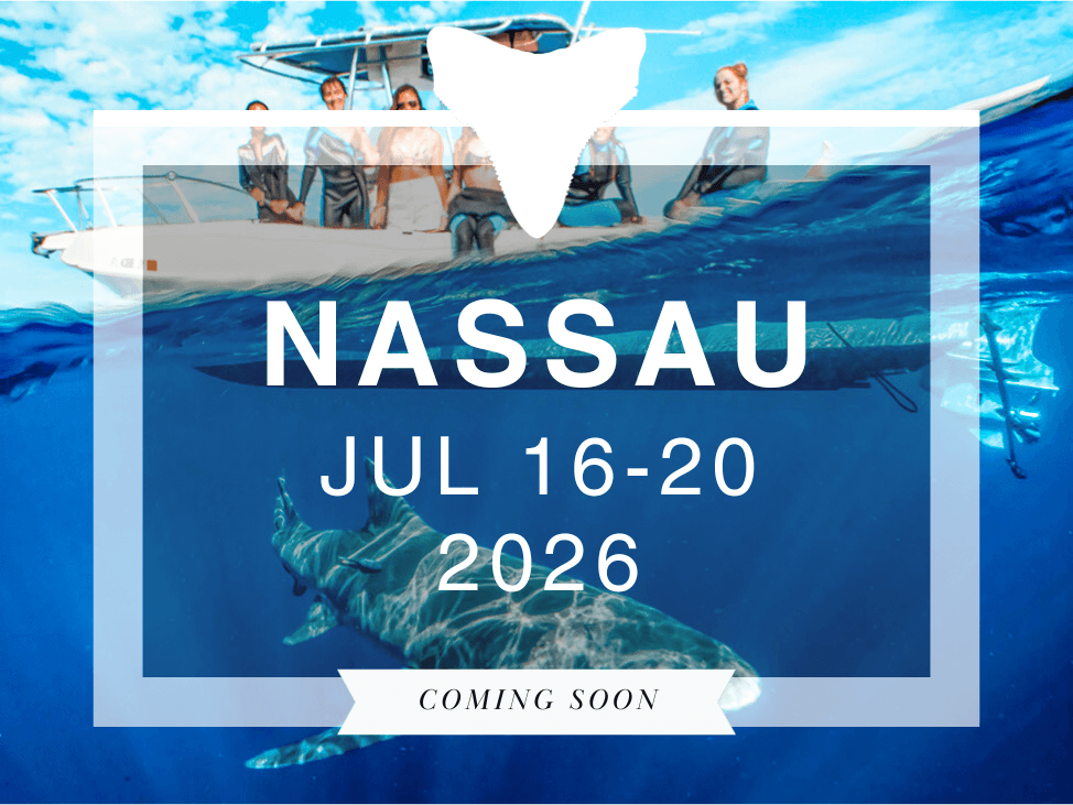 Wander Women X BMTM Adventures Namibia: A Yoga + Adventure Retreat 2026