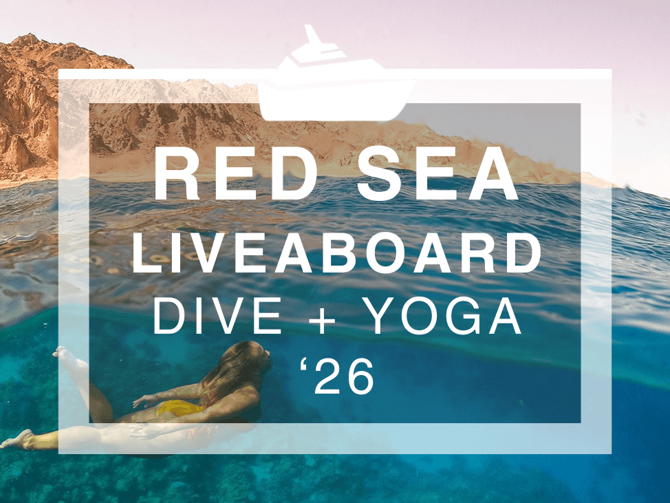 Wander Women Red Sea: A Dive + Yoga Liveaboard 2026