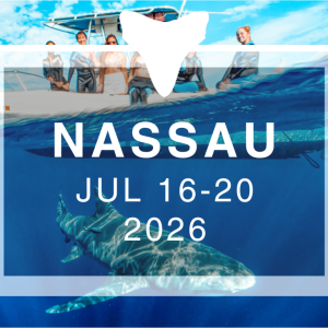 Wander Women Nassau: A PADI Club Dive + Yoga Retreat 2026