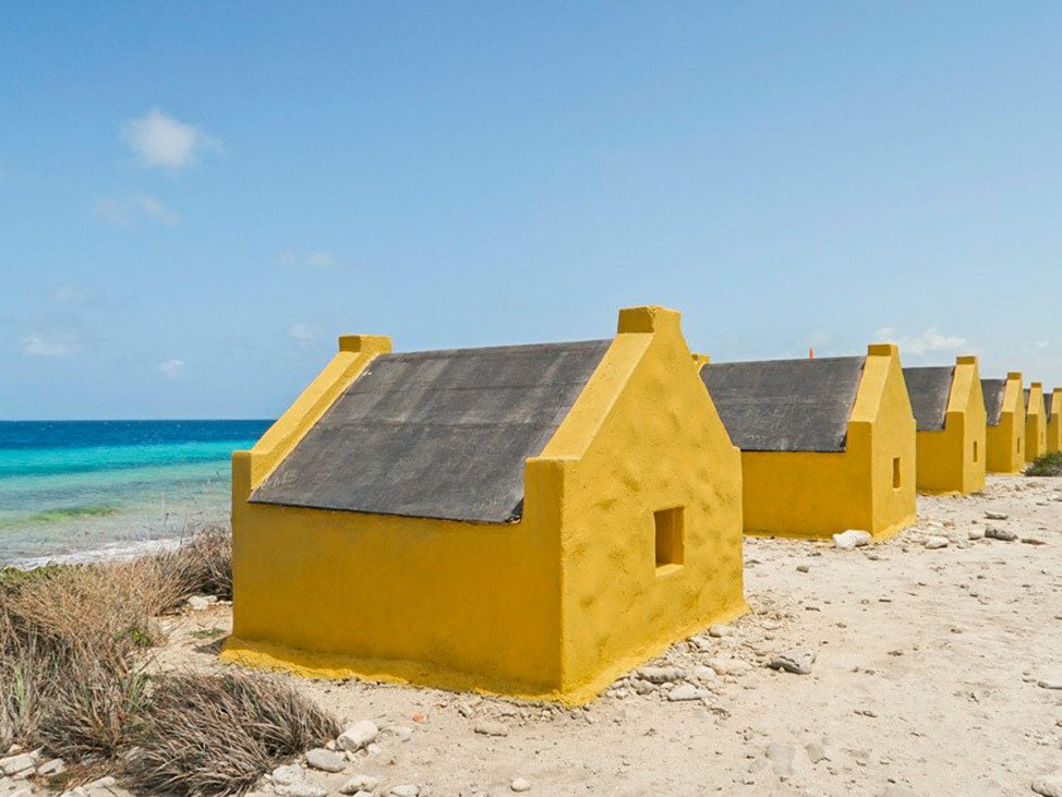 Signature Wander Women Gift Bag