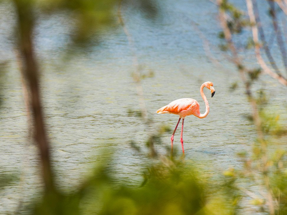 Beautiful, Ensuite Bathrooms