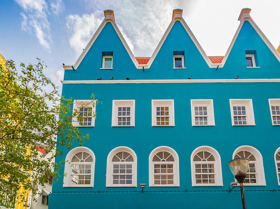 School of Fish with Scuba Diver