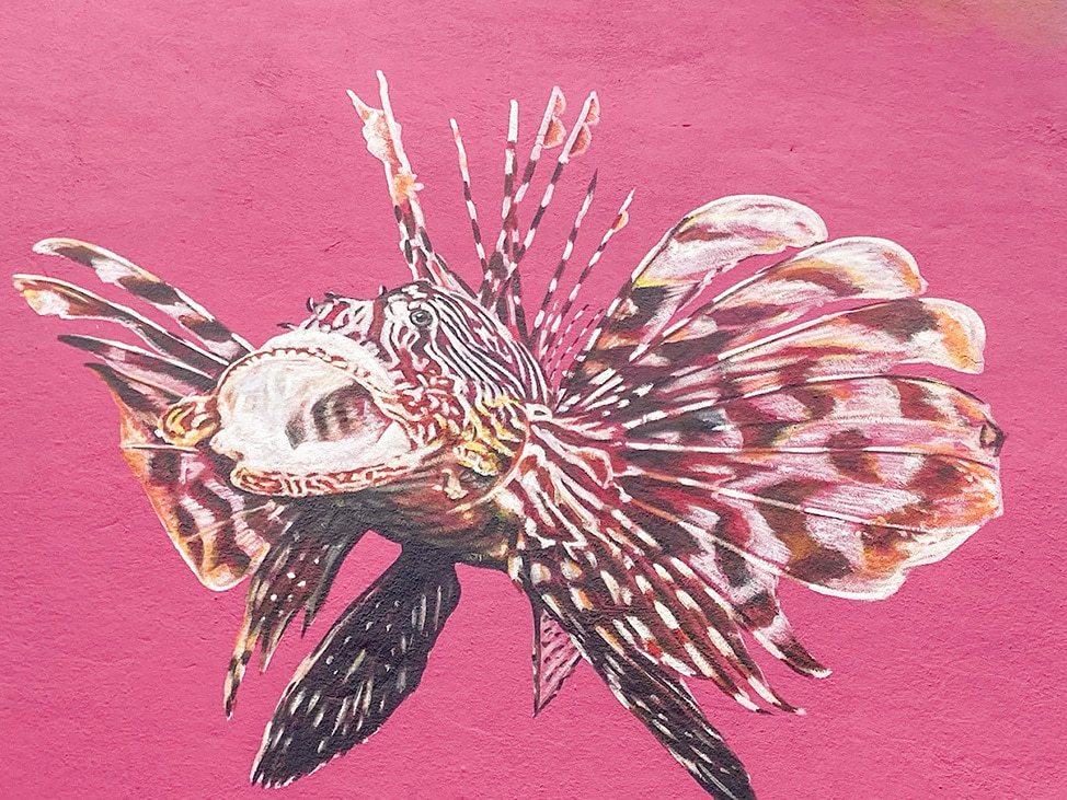 The Unique Doors of Curacao