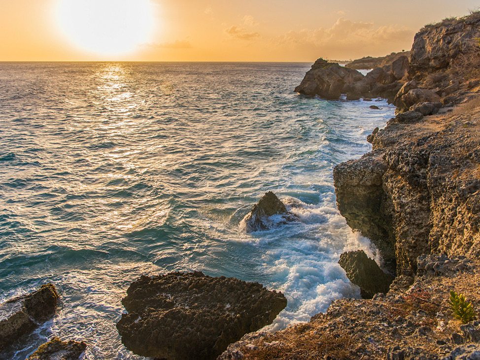 Wander Women Retreats x PADI Club Diving