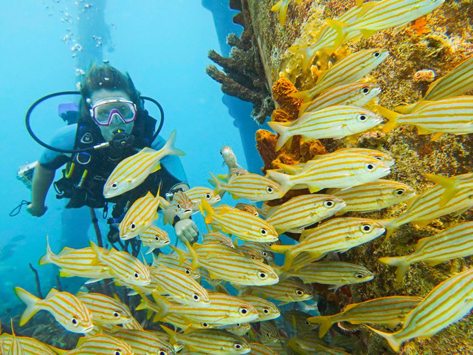Yellow Curacao Building