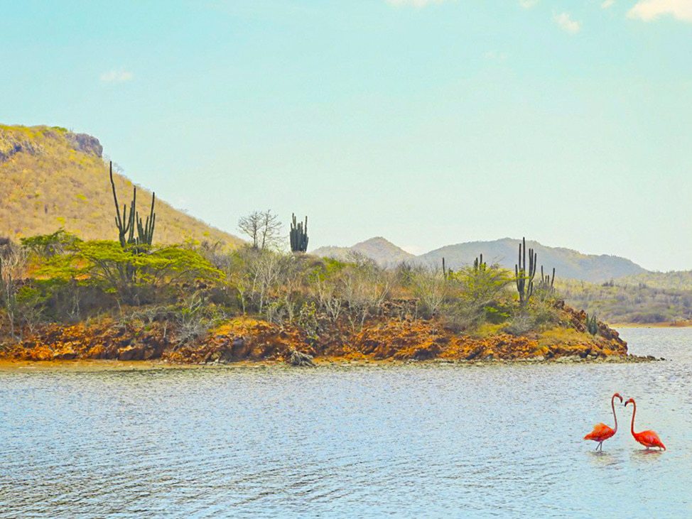 Wander Women Retreats x PADI Club Diving