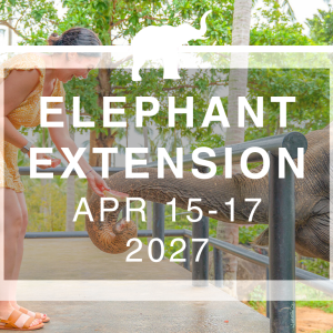 Wander Women Koh Tao: Post-Retreat Elephant Extension 2027