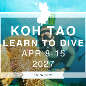 Wander Women Koh Tao: A Beginner Dive + Yoga Retreat 2027