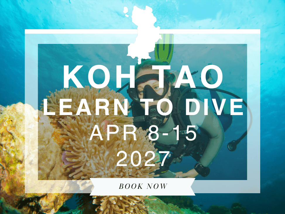 Wander Women Koh Tao: A Learn to Dive Retreat 2027