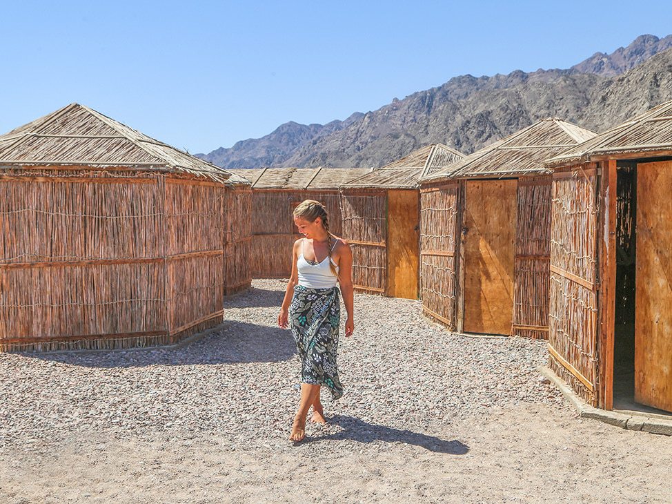 Scenes from Sunny Egypt