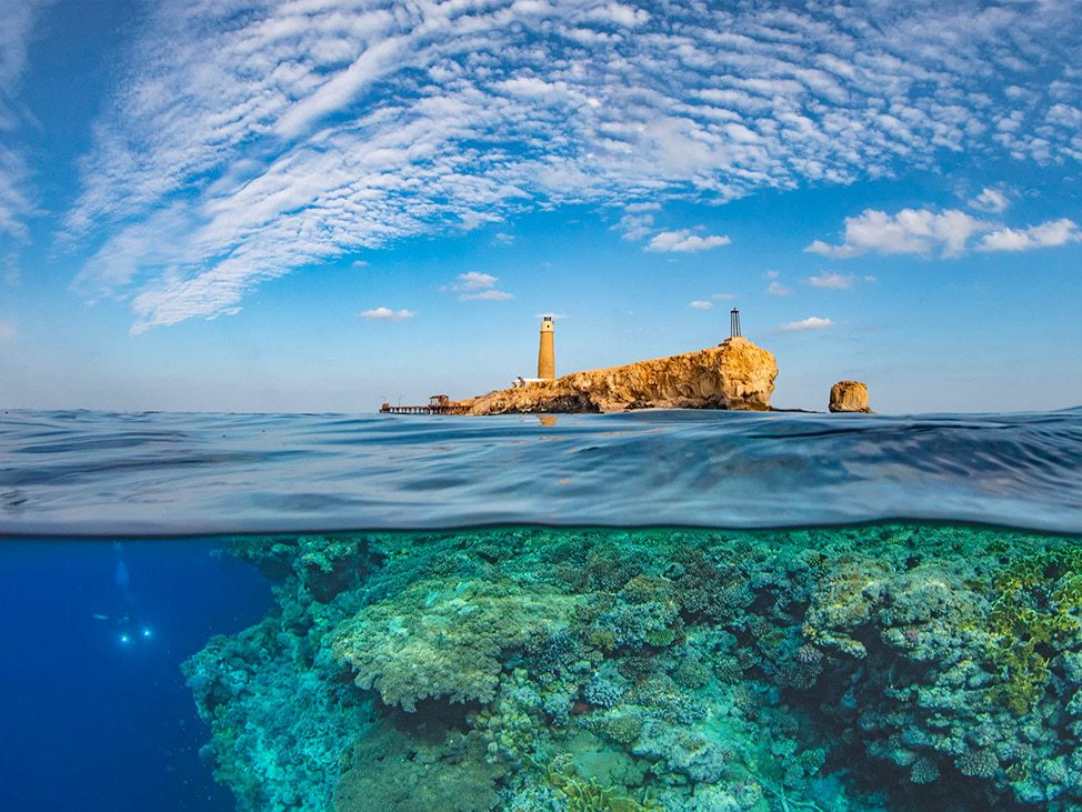 Diving Reef and Wreck Red Sea Liveaboard