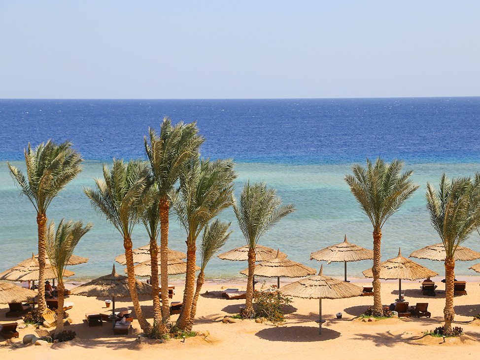 Egypt Red Sea beach view