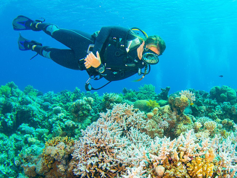 Scuba diving over colorful coral
