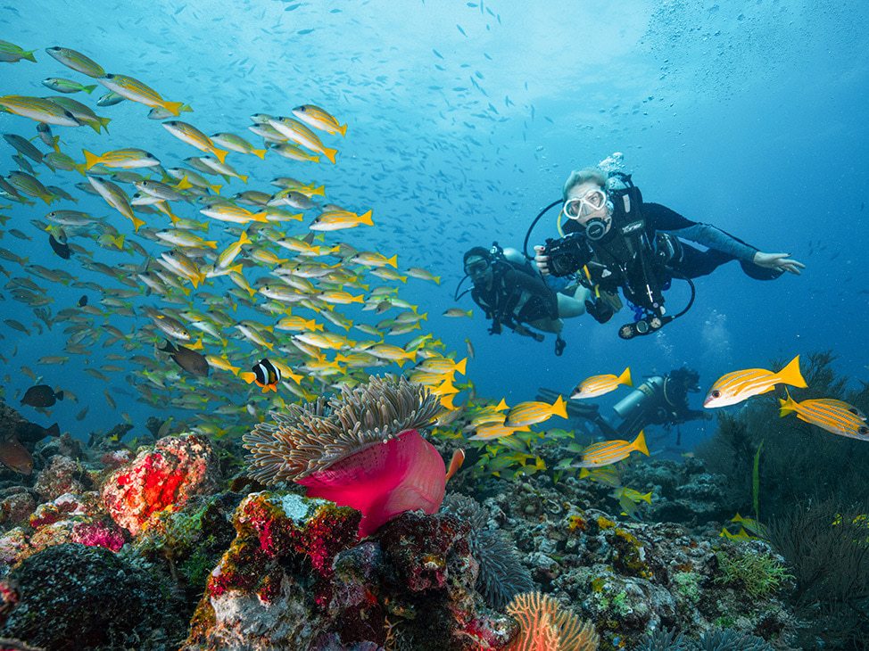 Red Sea Women Diving