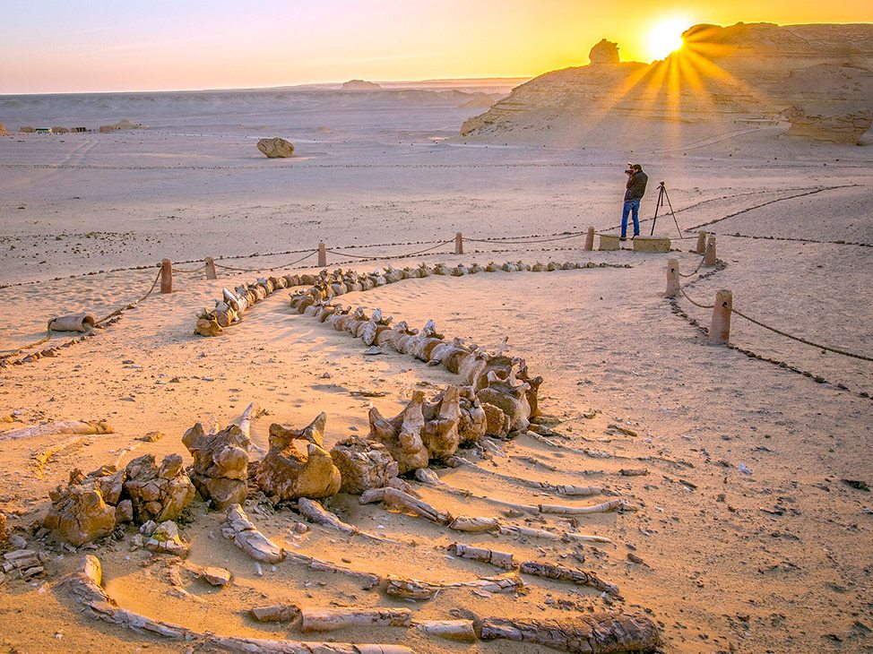 Unique Desert Experience