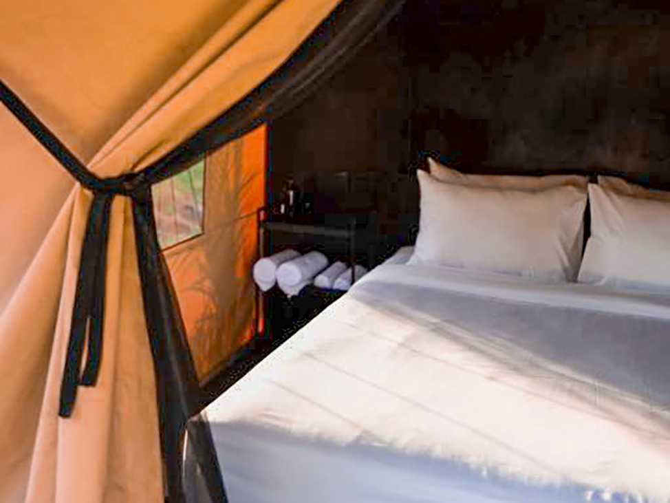 Comfy beds